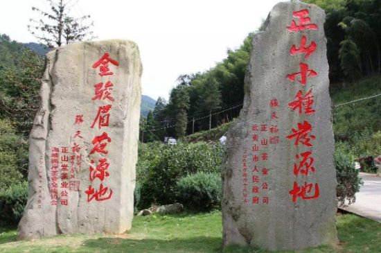 300塊錢的金駿眉能喝嗎，兩三百多金駿眉和一千多區(qū)別