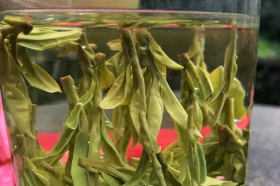 什么綠茶最香最好喝，綠茶口感與香氣排名