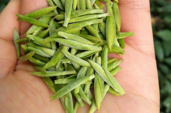 什么綠茶味道濃香，那個綠茶比較濃香？