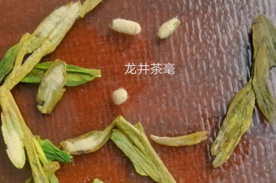 西湖龍井茶毫和發(fā)霉區(qū)別圖片，長霉的龍井茶葉會是什么樣？