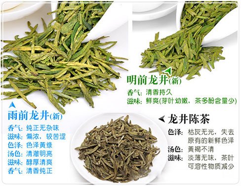 西湖龍井新茶和陳茶的區(qū)別，怎么區(qū)分龍井新茶和舊茶？