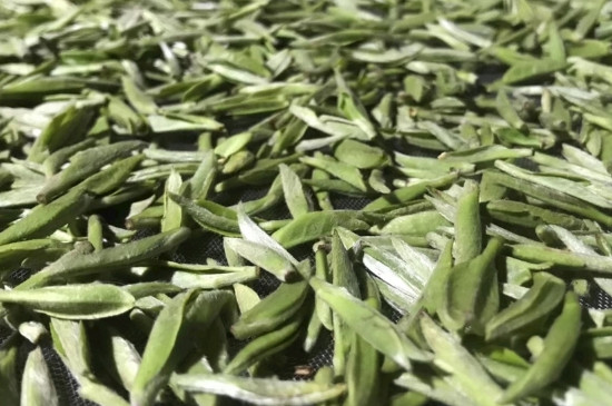 白毫銀針年份久的有什么香，陳年白毫銀針的香氣