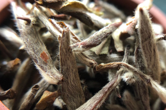 白毫銀針年份越久越好嗎，銀針白毫是否越陳越好