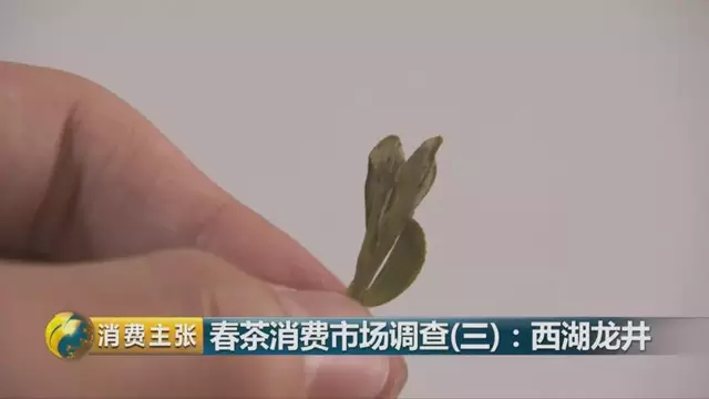 龍井群體種和43號(hào)的區(qū)別圖片，龍井43和群體種哪個(gè)好喝？