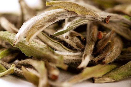 荒野銀針有什么特點(diǎn)，荒野銀針的味道口感咋樣？