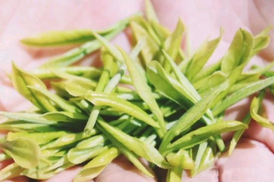 龍井是明前的好還是雨前的好，明前茶和雨前茶哪個(gè)好喝？