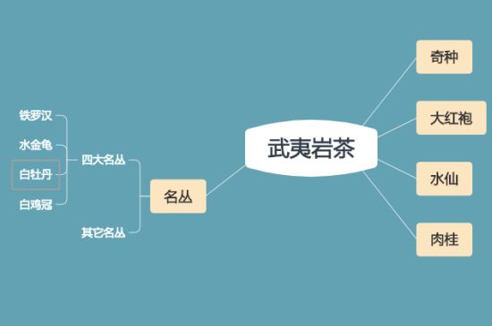 武夷巖茶品種大全，巖茶有幾種？