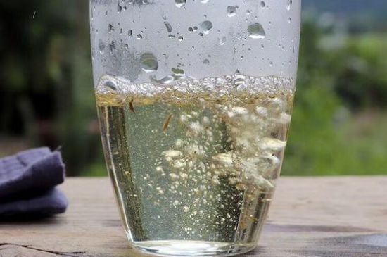 三年白茶賽砒霜，這是真的嗎？