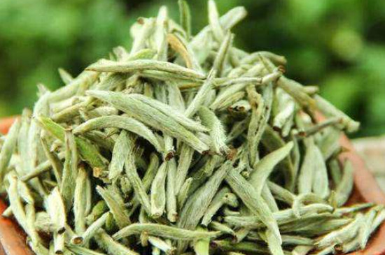 白毫銀針年份越久越好嗎，銀針白毫是否越陳越好