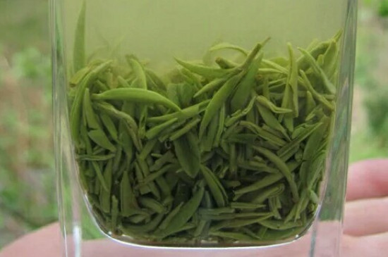 什么綠茶茶葉唇齒留香，哪個品種綠茶香氣好？