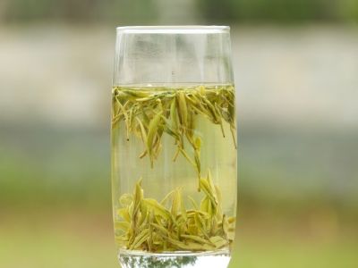 霍山黃芽算是好茶嗎，霍山黃芽屬于什么茶？