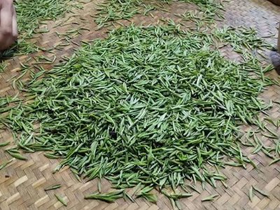 金駿眉幾年可以算陳茶，金駿眉新茶好還是老茶