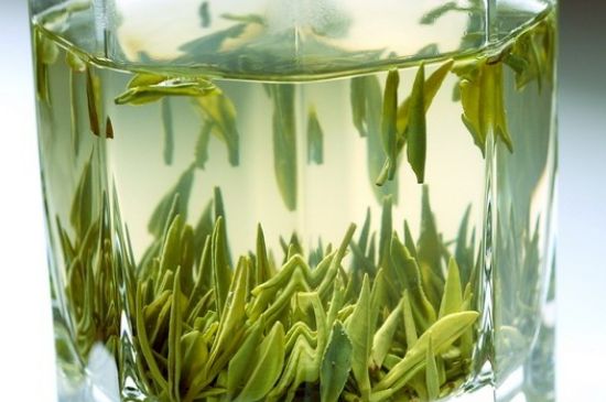 竹葉青和雀舌哪個貴，竹葉青茶貴嗎？