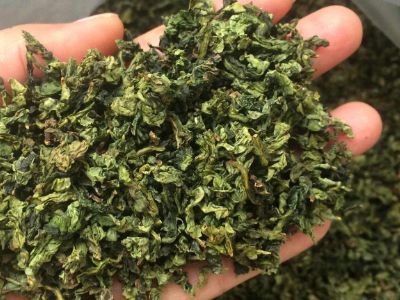 鐵觀音毛茶茶?？梢耘菟葐幔F觀音帶梗是不是好茶？