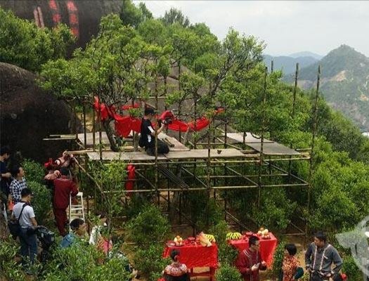 宋種一號(hào)價(jià)值為什么高，鳳凰單樅宋種1號(hào)價(jià)格與產(chǎn)量多少？