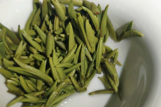 竹葉青茶怎么泡，竹葉青如何沖泡