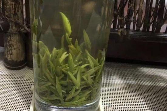 金壇雀舌什么檔次，金壇雀舌算不算好茶？