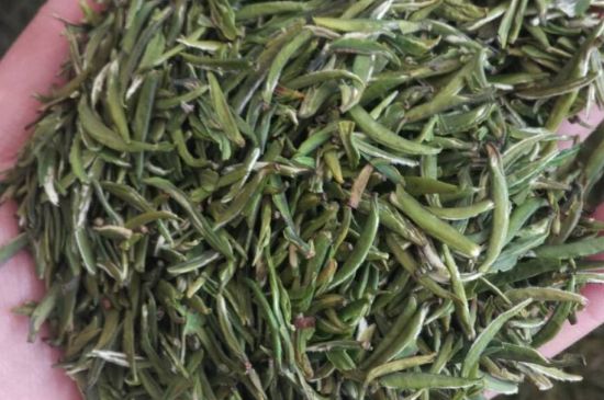 金壇雀舌算不算好茶，金壇雀舌屬于什么檔次茶葉？