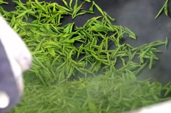 碧螺春為什么泡水渾濁，碧螺春茶葉泡水感覺很臟是混濁的