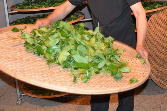 鐵觀音加香精騙局，鐵觀音的香味是添加香精了嗎？