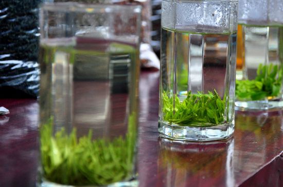 綠茶放了三年還能喝嗎，綠茶放久了喝了會怎樣