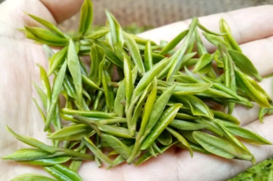 什么是雪前龍井茶，明前、雨前、雨后龍井有什么區(qū)別？