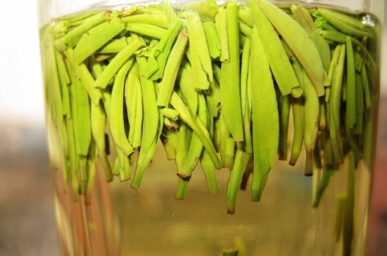 雀舌為何喝著是苦的，雀舌味道怎么那么苦澀？