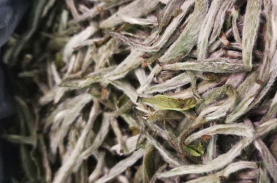 白毫銀針年份越久越好嗎，銀針白毫是否越陳越好