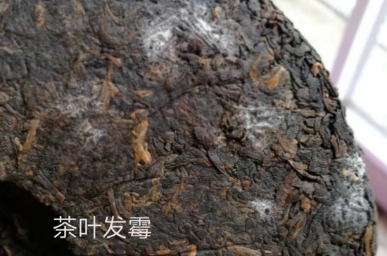 西湖龍井茶毫和發(fā)霉區(qū)別圖片，長霉的龍井茶葉會是什么樣？